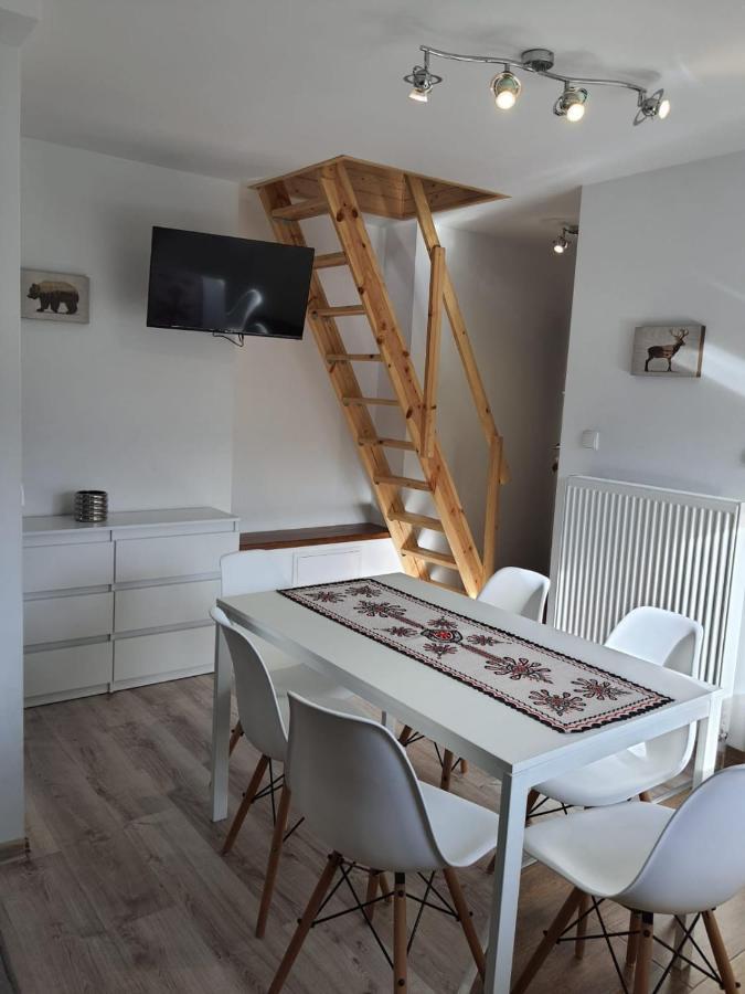 Studia I Apartamenty Wierchy زاكوباني المظهر الخارجي الصورة