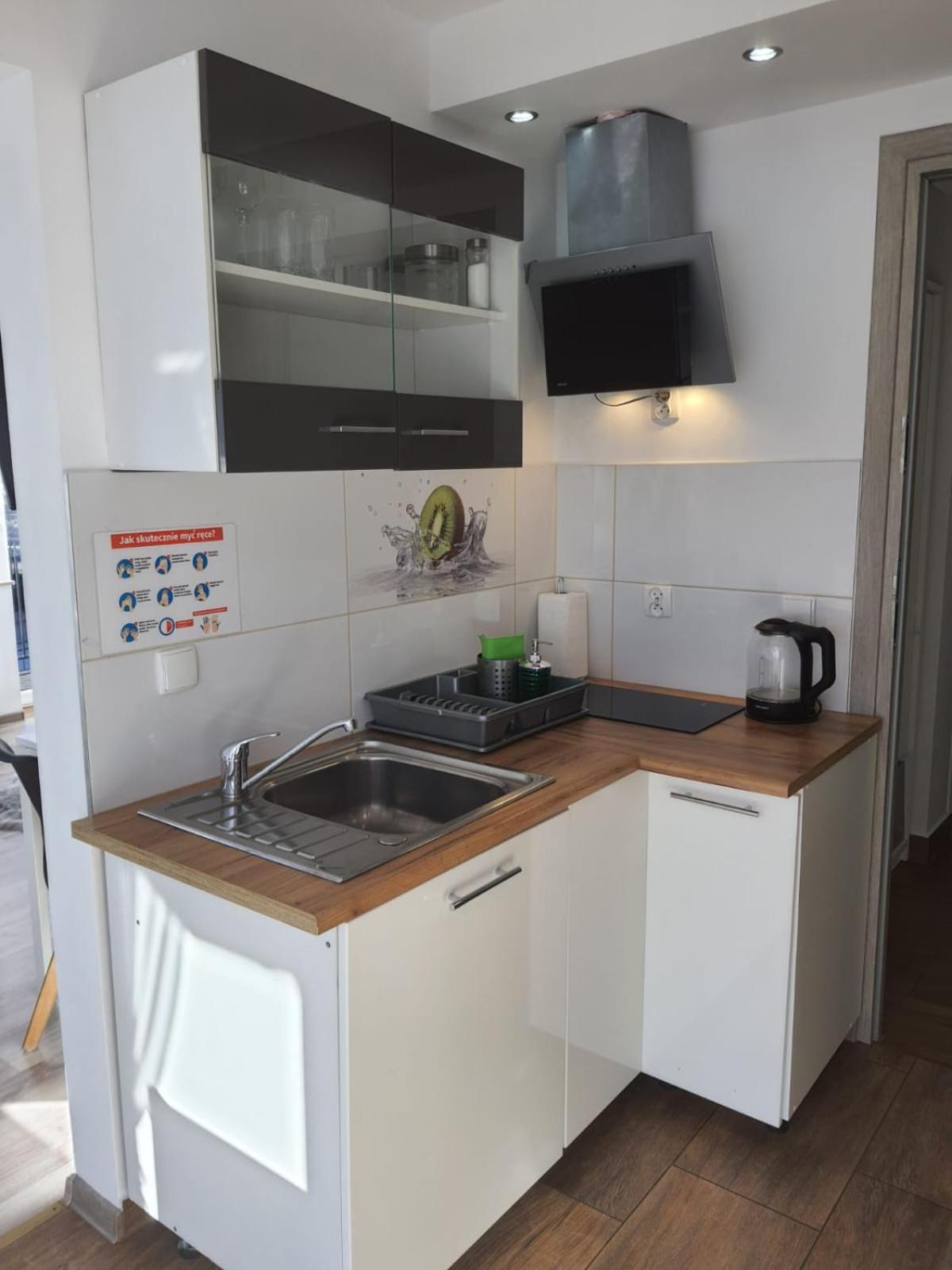 Studia I Apartamenty Wierchy زاكوباني المظهر الخارجي الصورة
