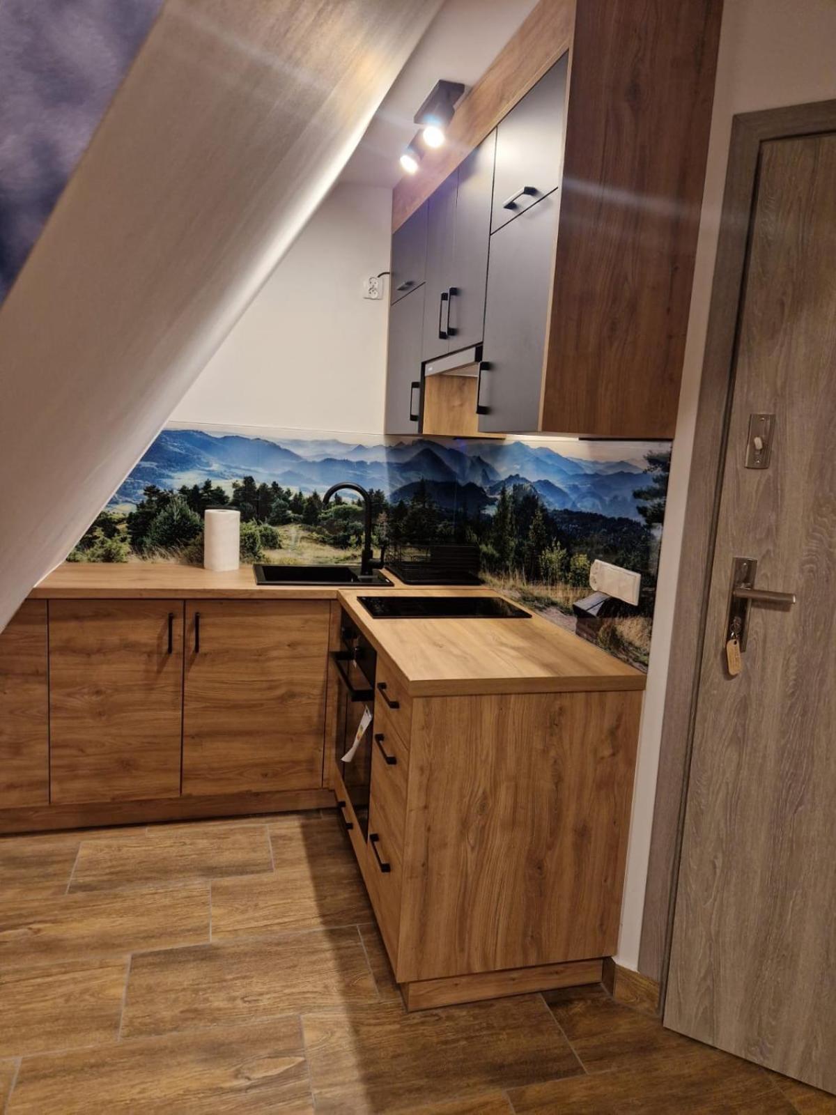 Studia I Apartamenty Wierchy زاكوباني المظهر الخارجي الصورة